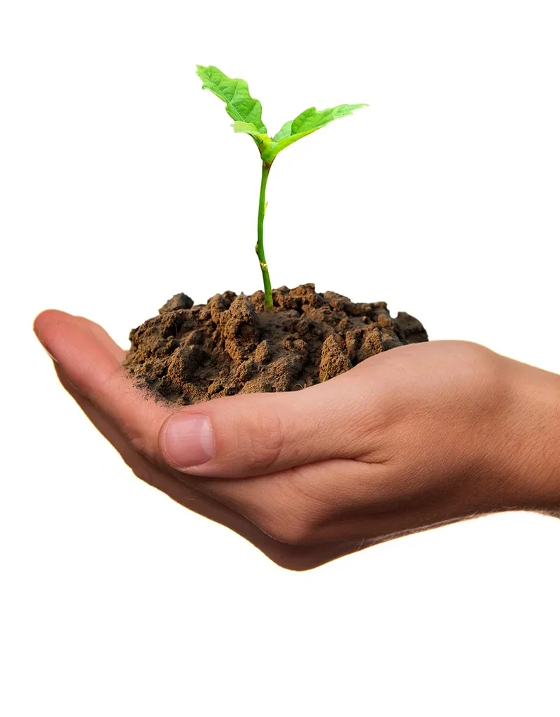 Beton ve Sürdürülebilir hayat